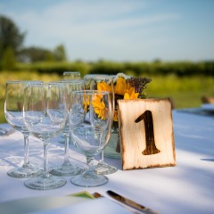 Outdoor dinner party photograph